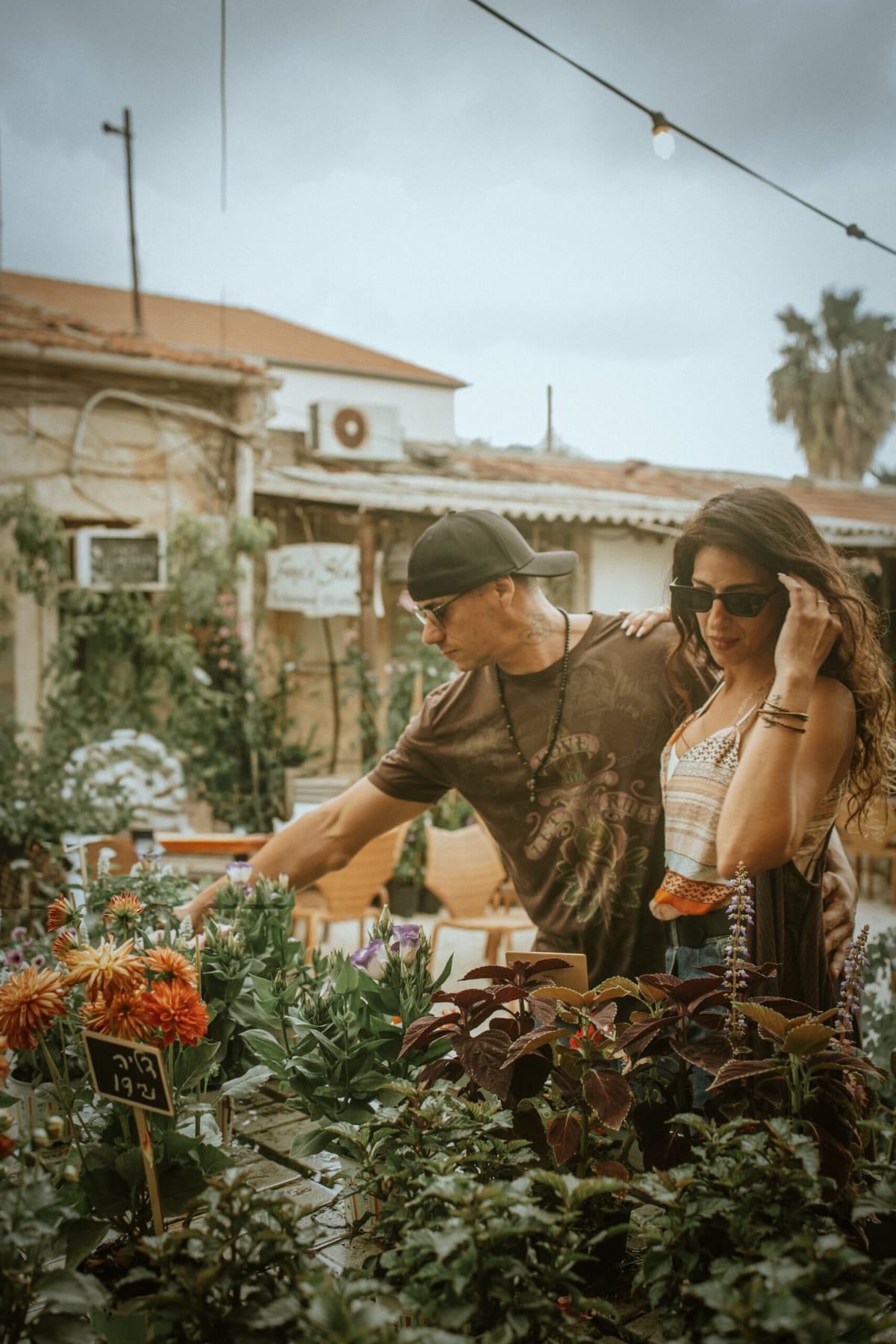 פורטרט מתוך הגלריה